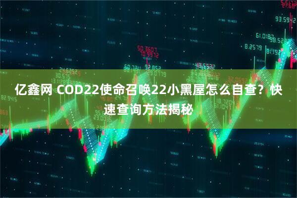亿鑫网 COD22使命召唤22小黑屋怎么自查？快速查询方法揭秘